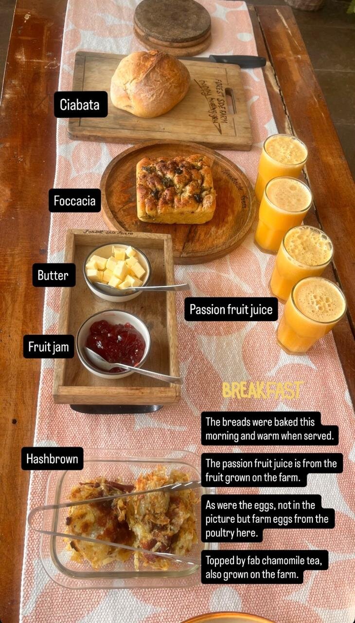 Forest Side Farm-官方