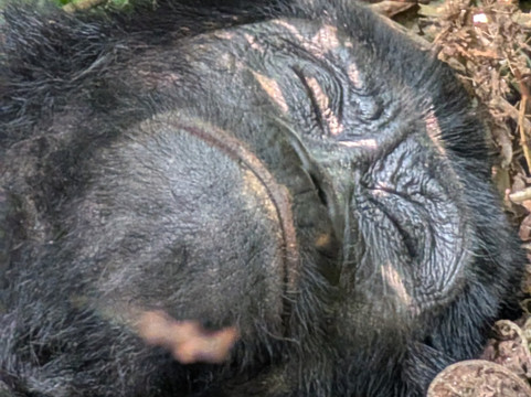 Let's Go Travel-坎帕拉必去景点