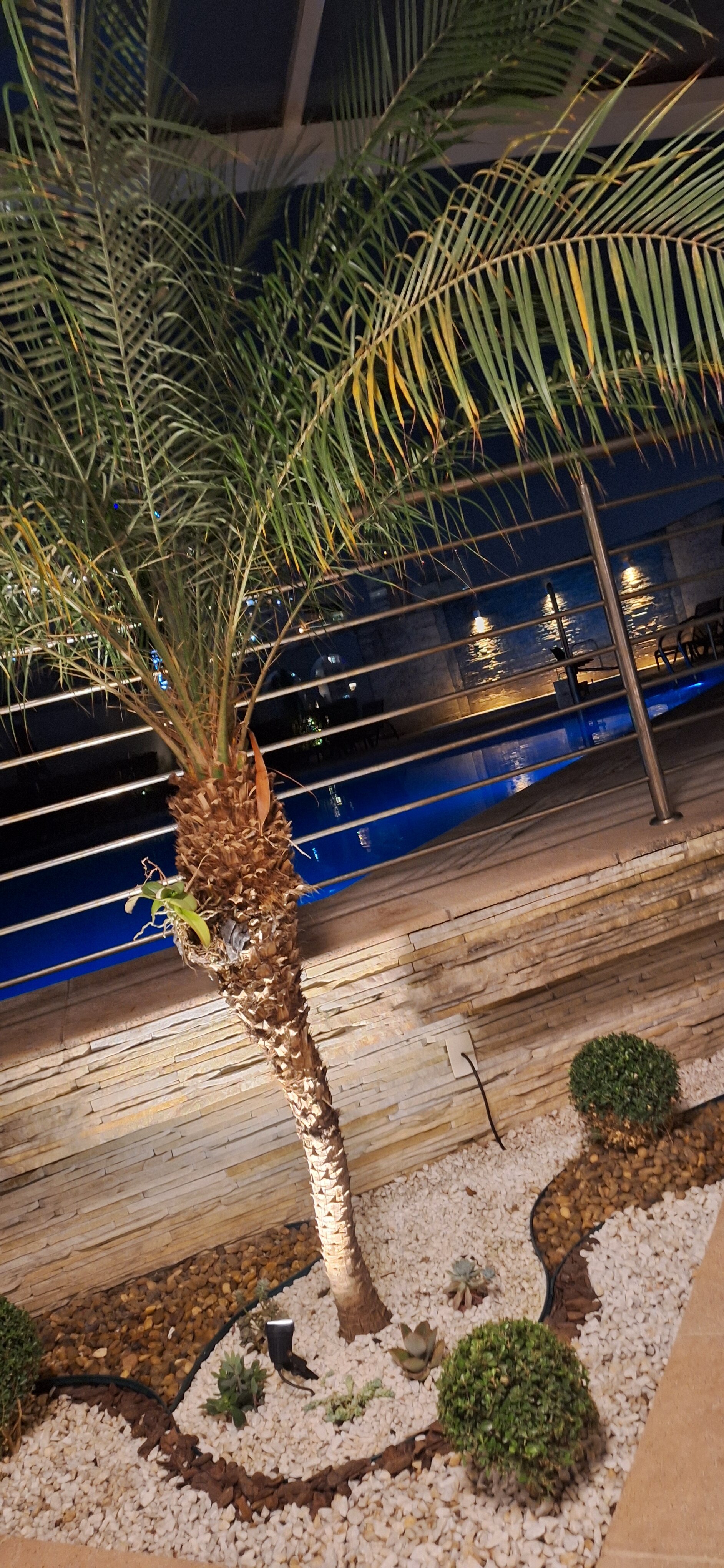 Bourbon Convention Hotel Santos-官方