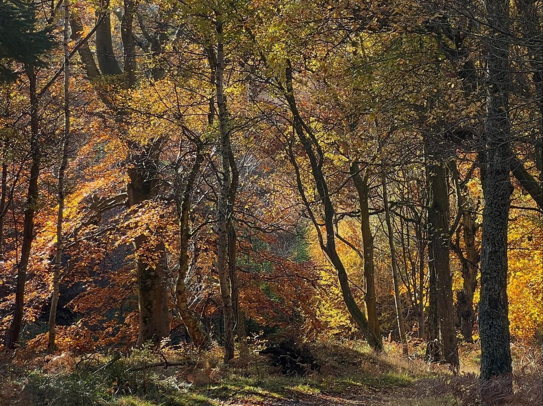 Hepple Wilds Estate-Rothbury必去景点