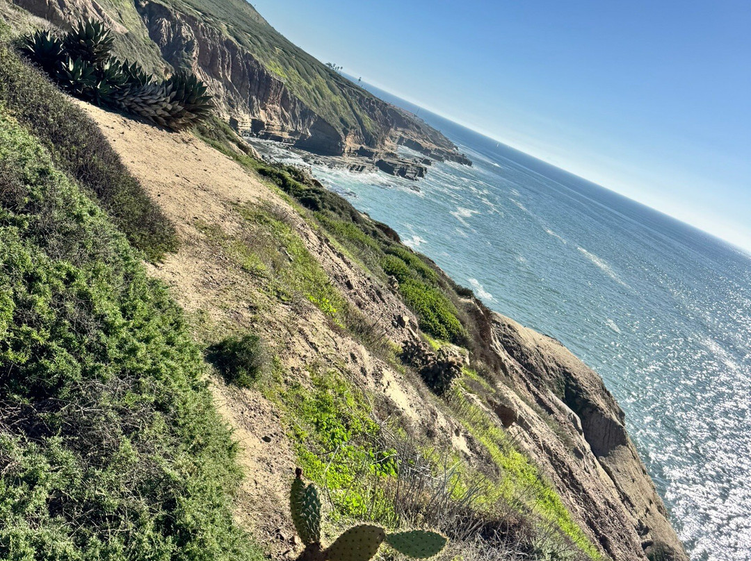 Cabrillo Tide Pools-圣地亚哥必去景点