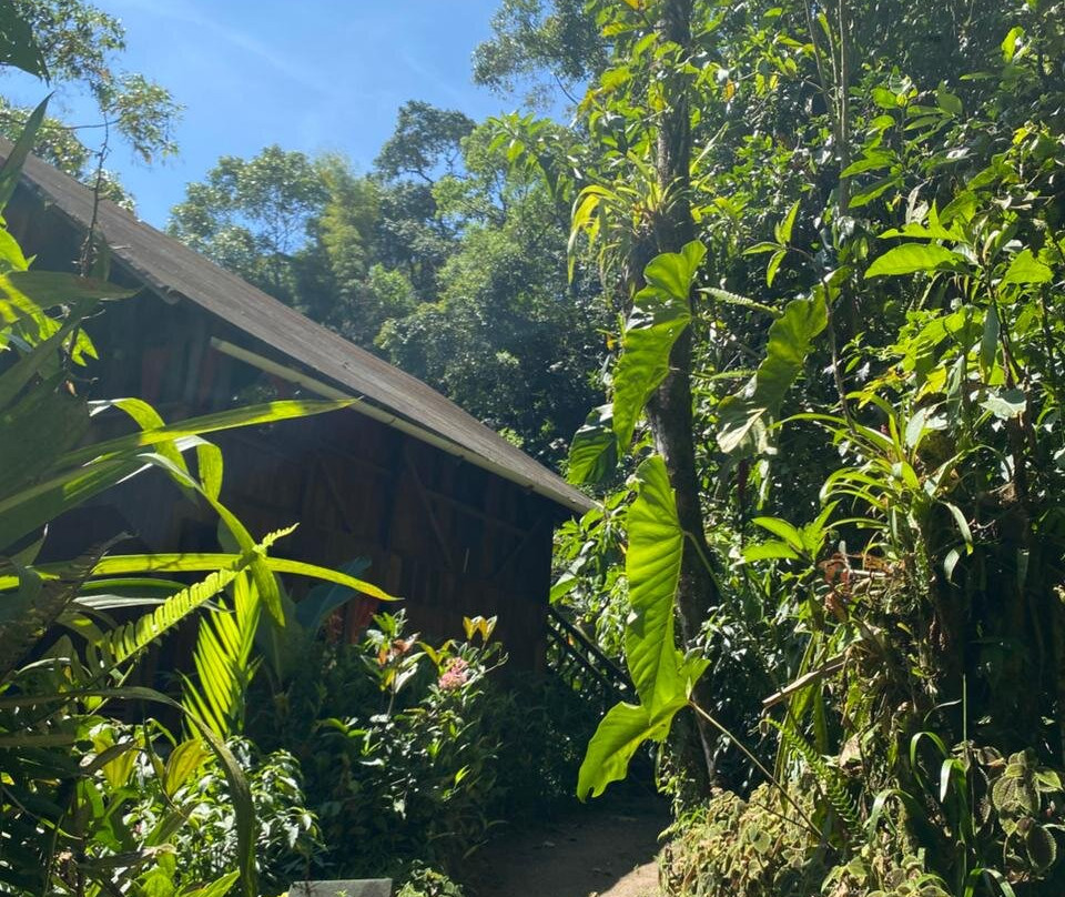 Casa Divina Eco Lodge主图