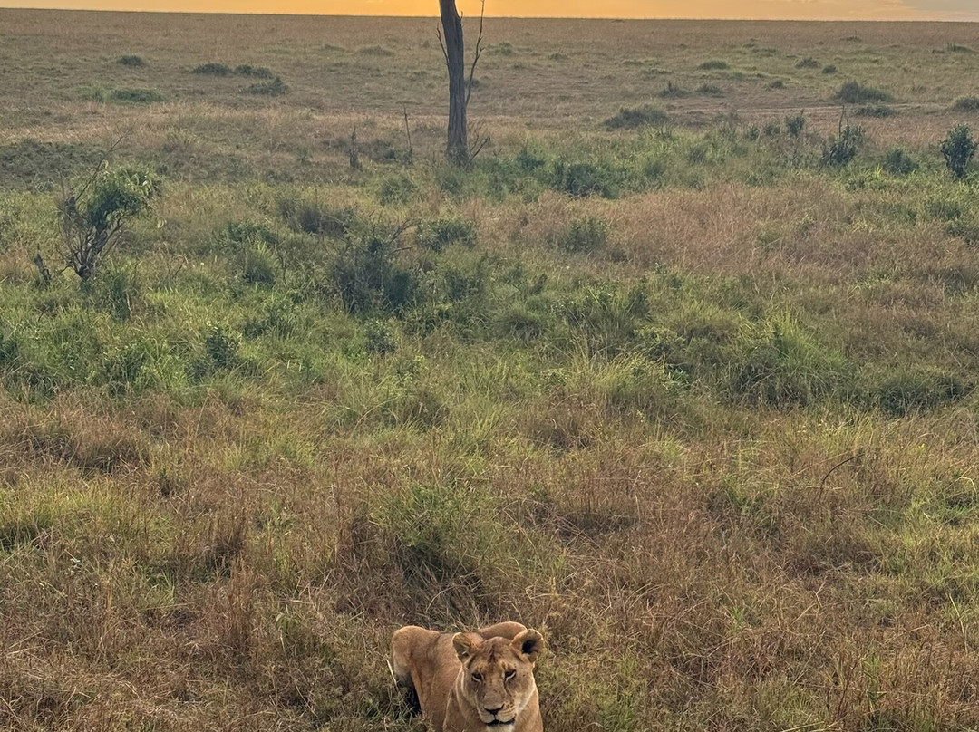 Kameraz of Afrika-内罗毕必去景点