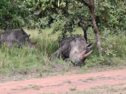 Speke Holidays-坎帕拉必去景点