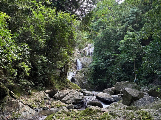 Peter Cox Wildlife Tours-多巴哥必去景点