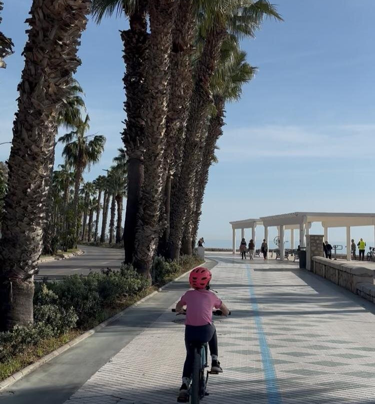 Bike Tours Malaga - We Bike Malaga!-马拉加必去景点