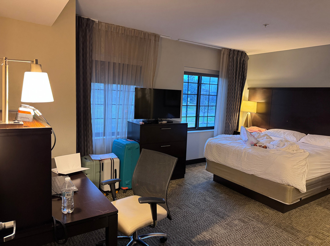 Staybridge Suites Ann Arbor - Univ of Michigan by IHG主图