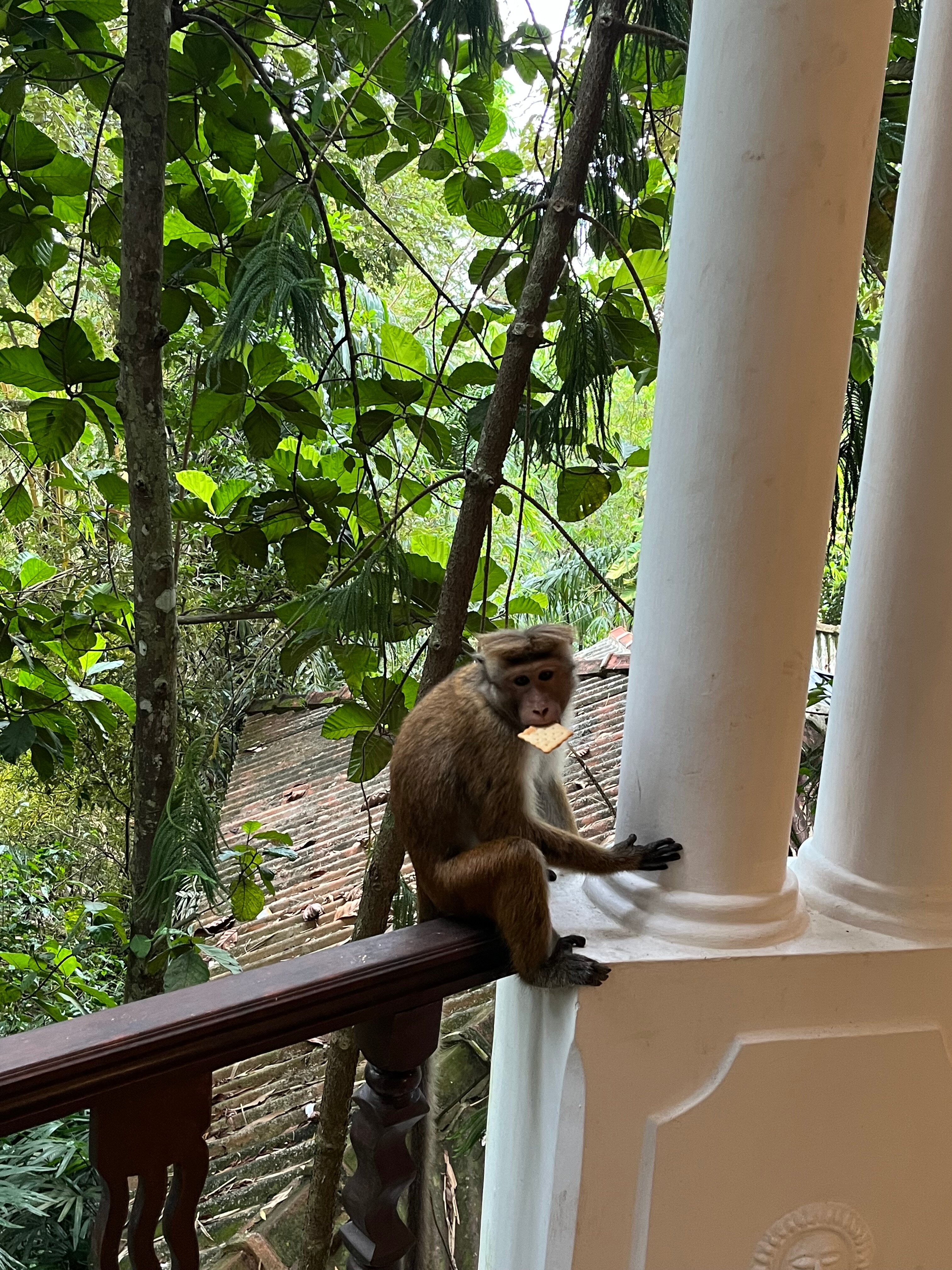 塔巴派尼度假酒店-官方
