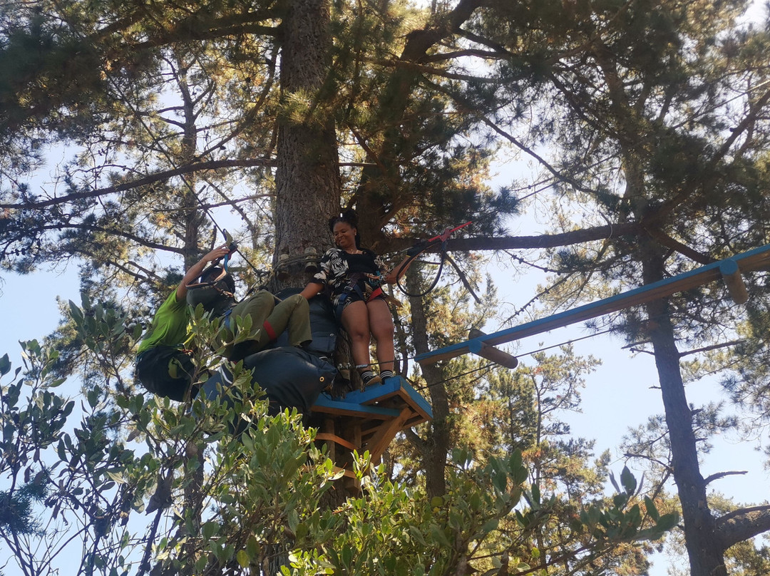 Acrobranch Garden Route-荒野必去景点