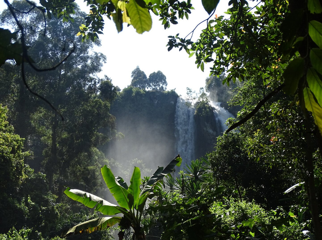 Mount Elgon Trekkers-Kapchorwa必去景点