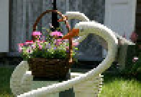 De Appeltuin Bed & Breakfast主图