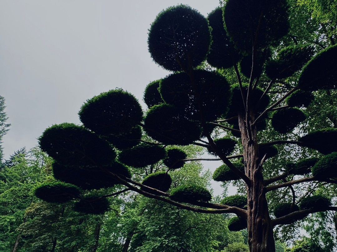 Parc Oriental de Maulevrier-Maulevrier必去景点