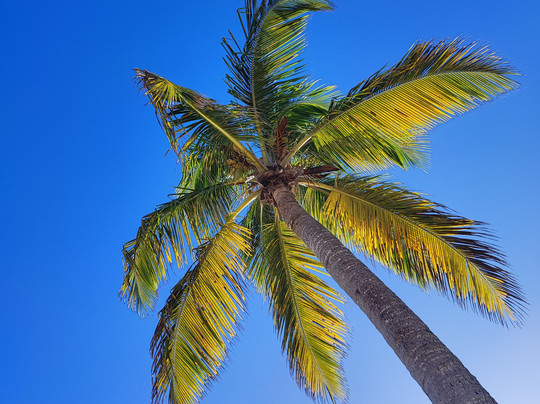 St. Anne Beach-Sainte-Anne必去景点