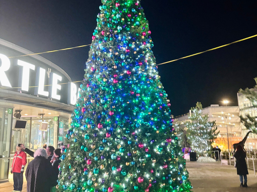 Turtle Back Zoo-西奥兰治必去景点