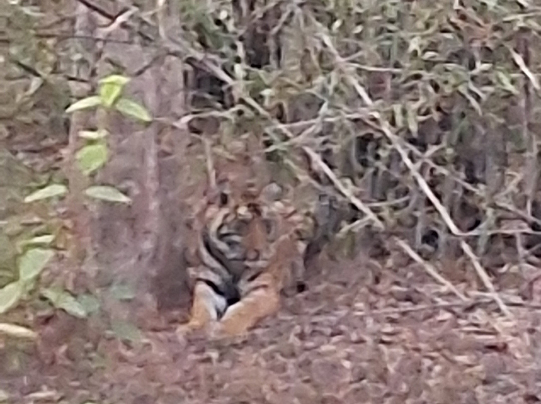 Wildlife Expeditions India-Khatia必去景点