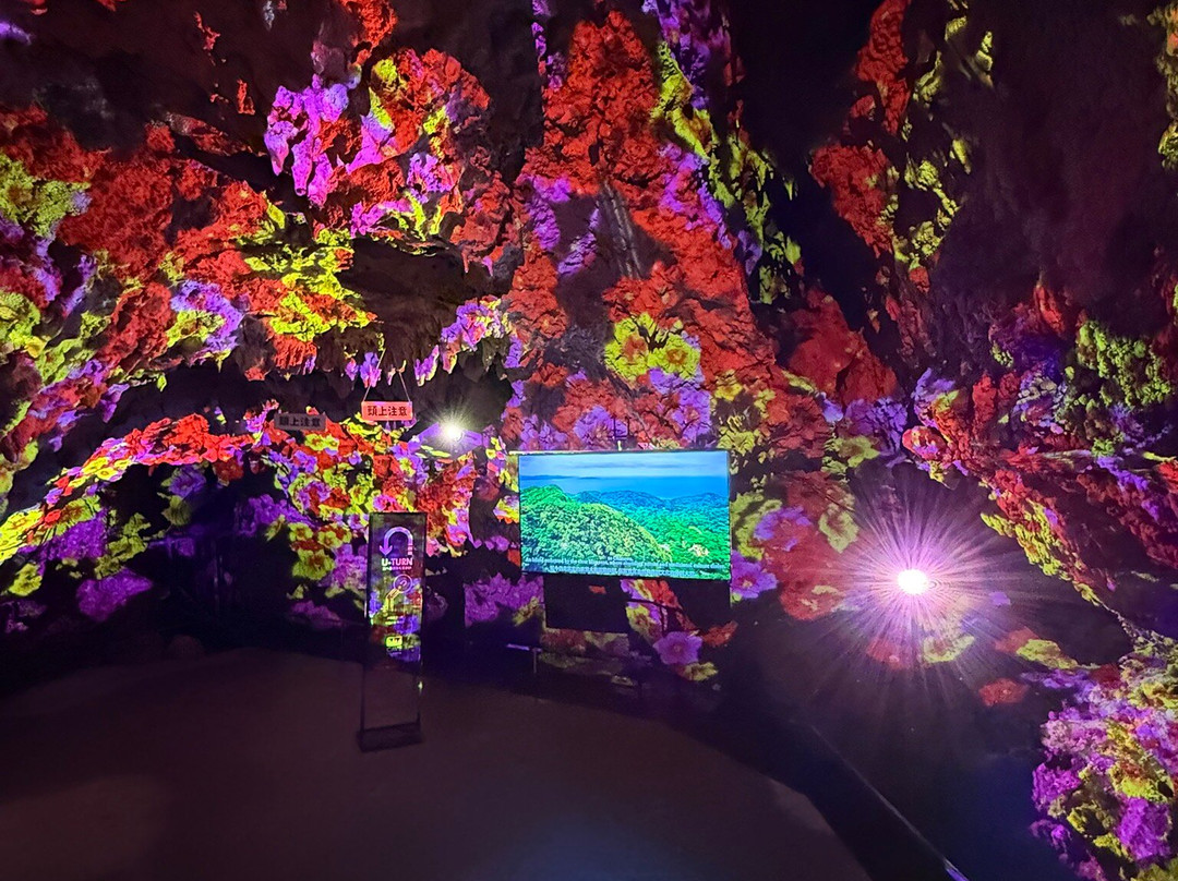 Cave Okinawa-宇流麻市必去景点
