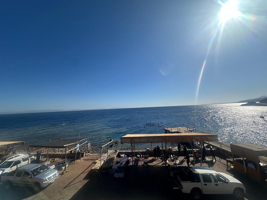 Penguin Divers Club-达哈卜必去景点