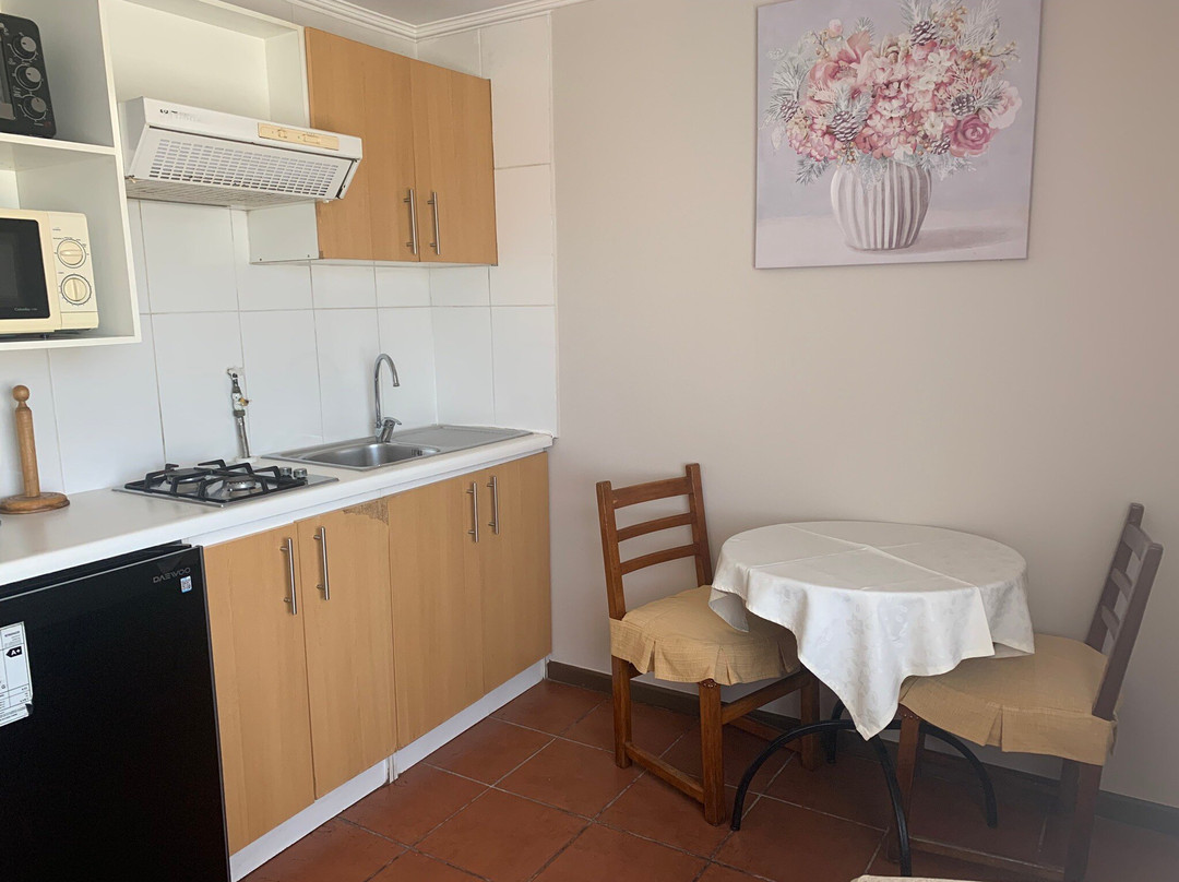 Aparthotel Y Cabañas Vegasur主图