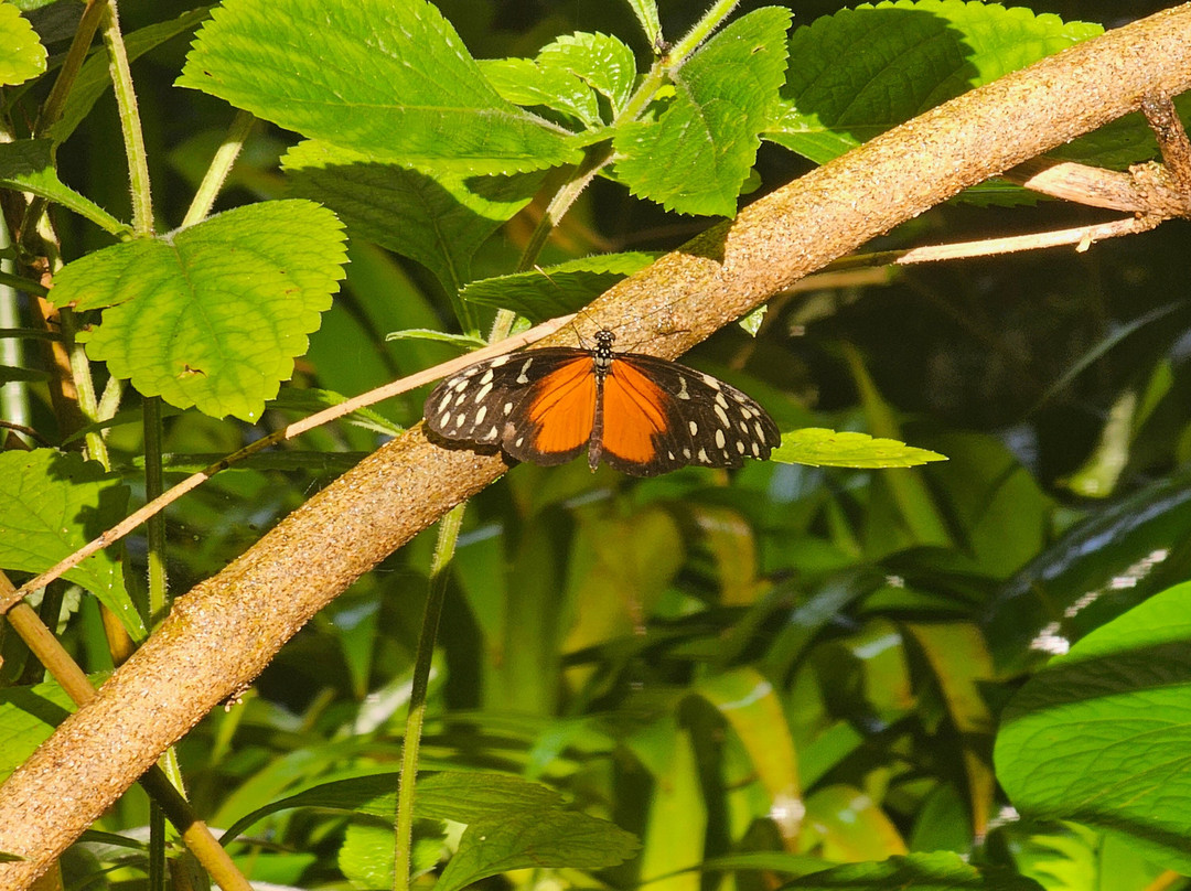 国家博物馆-圣何塞必去景点