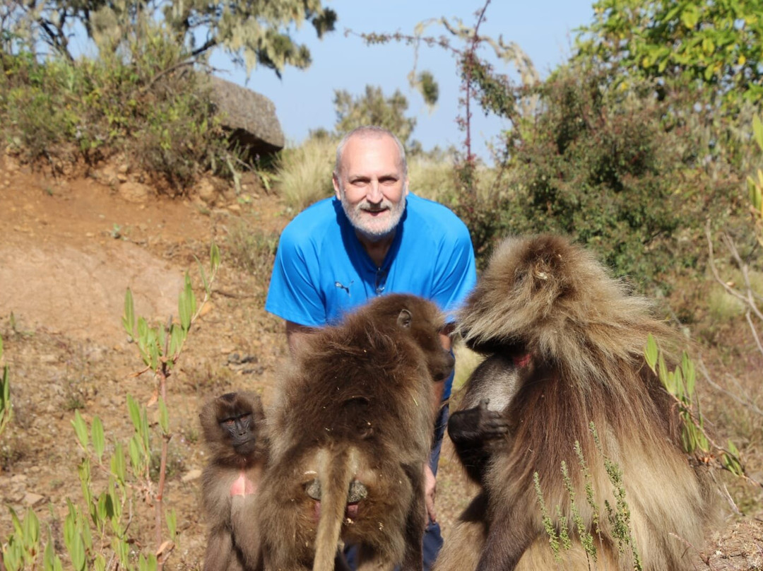 Ethio Target Tour & Travel-亚的斯亚贝巴必去景点