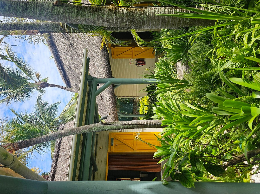 Ambre Mauritius Spa-Palmar必去景点