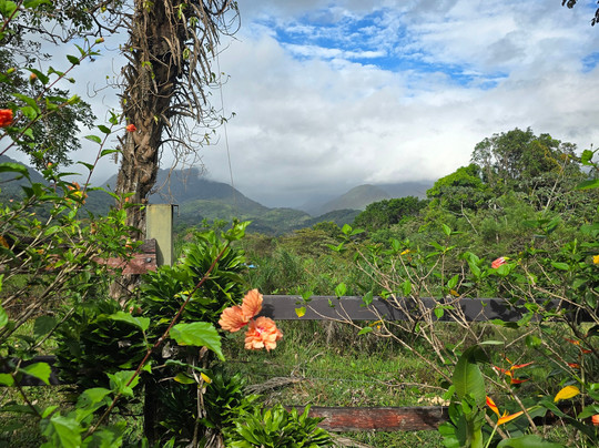 Coffee Mountain Inn主图