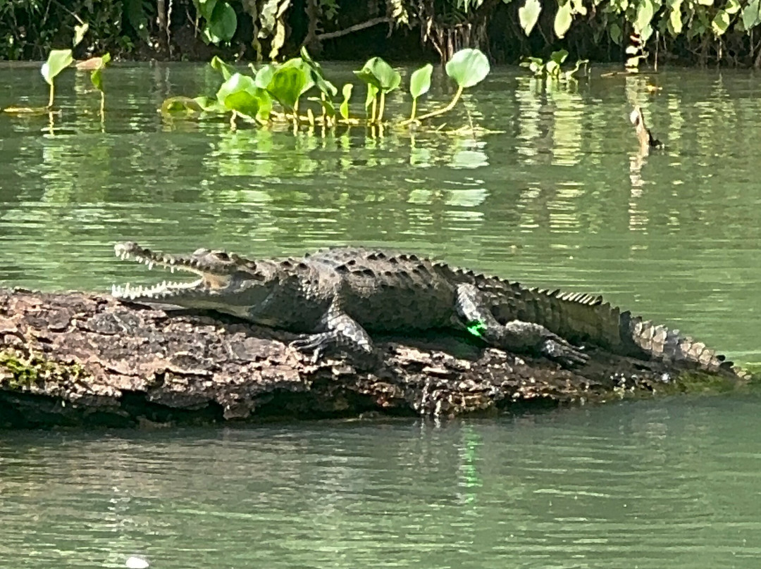 Almiza Tours by My friend Mario-巴拿马城必去景点