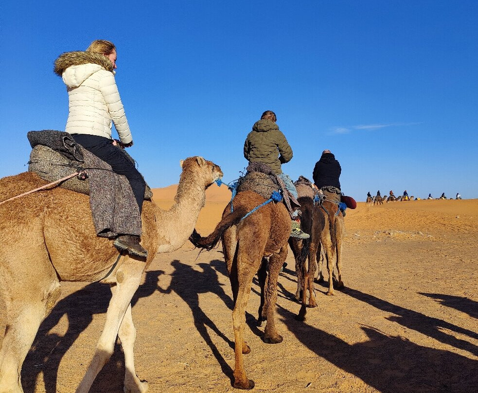 Trips Around Morocco-马拉喀什必去景点