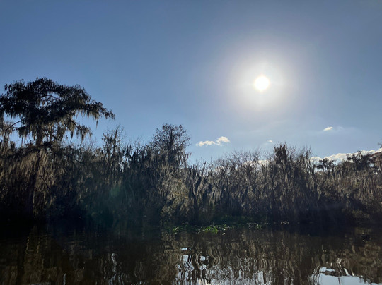 Black Hammock Adventures-Oviedo必去景点