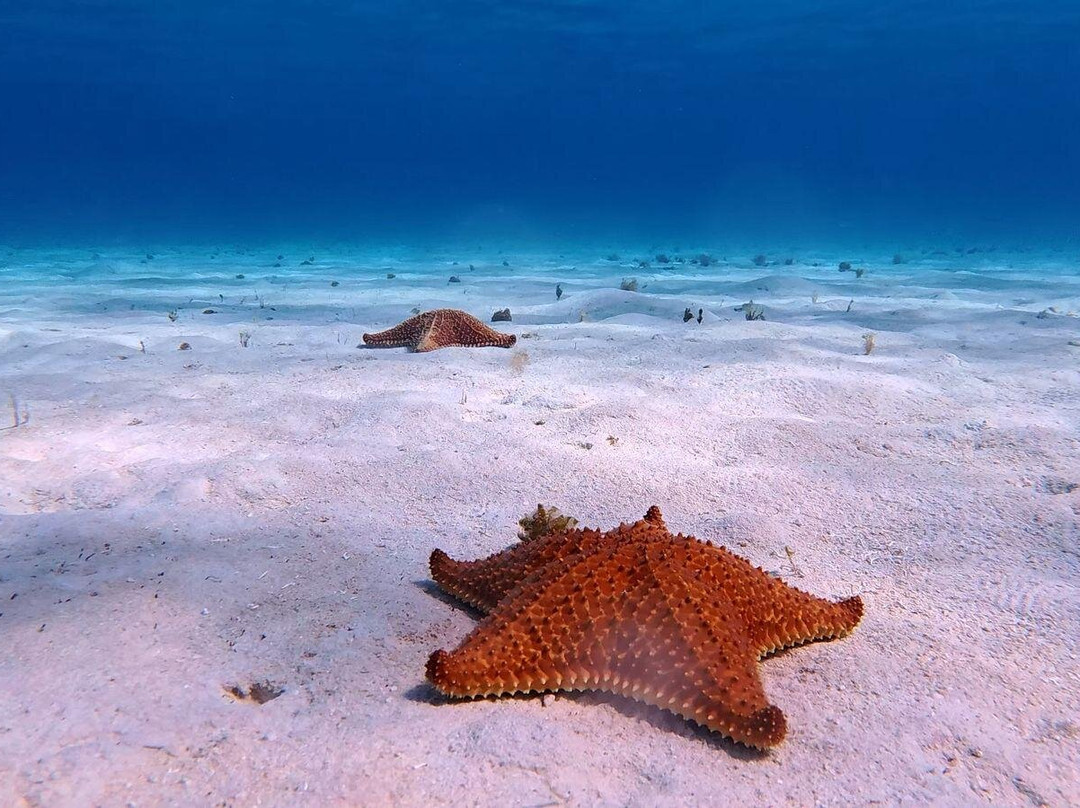 Playa El Cielo-考祖梅必去景点