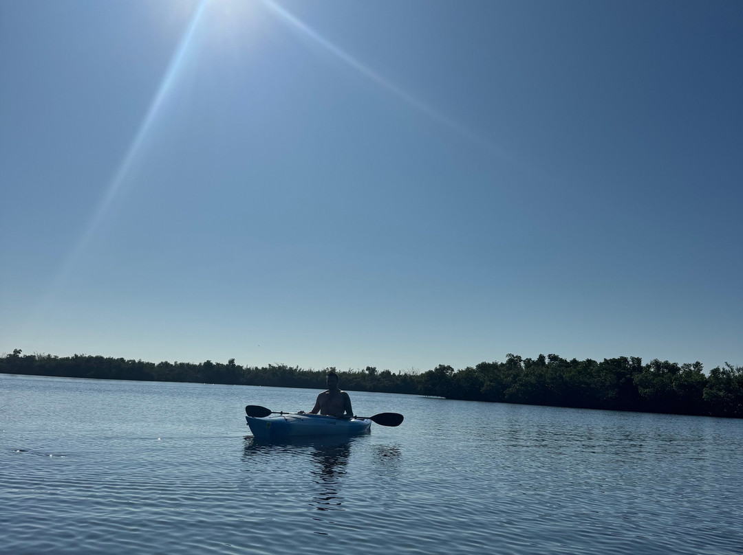 Carmen's Kayaks-Matlacha必去景点