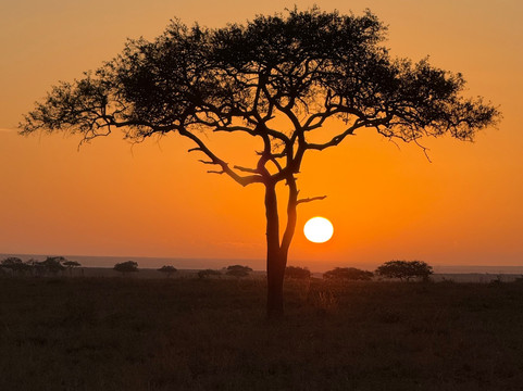 Buhaya Trekking Safaris-阿鲁沙必去景点