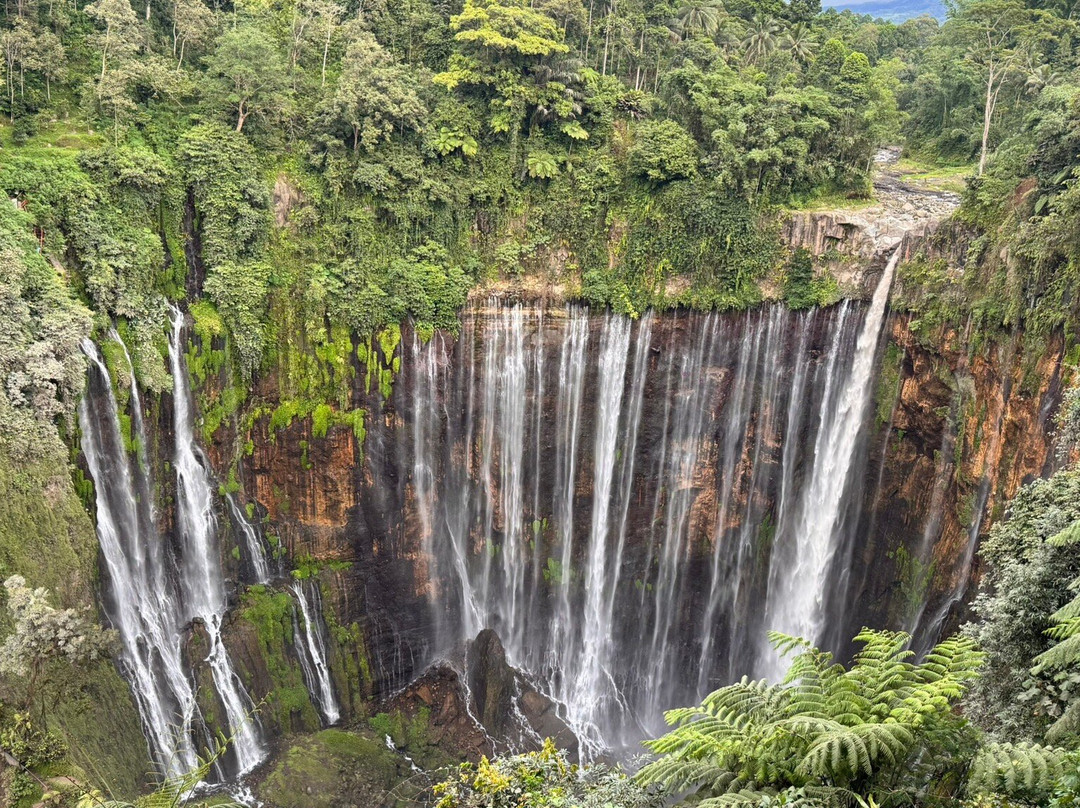 Cheap Bromo-泗水必去景点