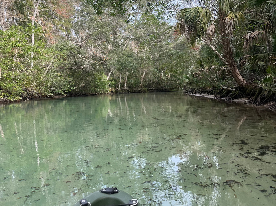 Weeki Wachee Kayaking-Weeki Wachee必去景点