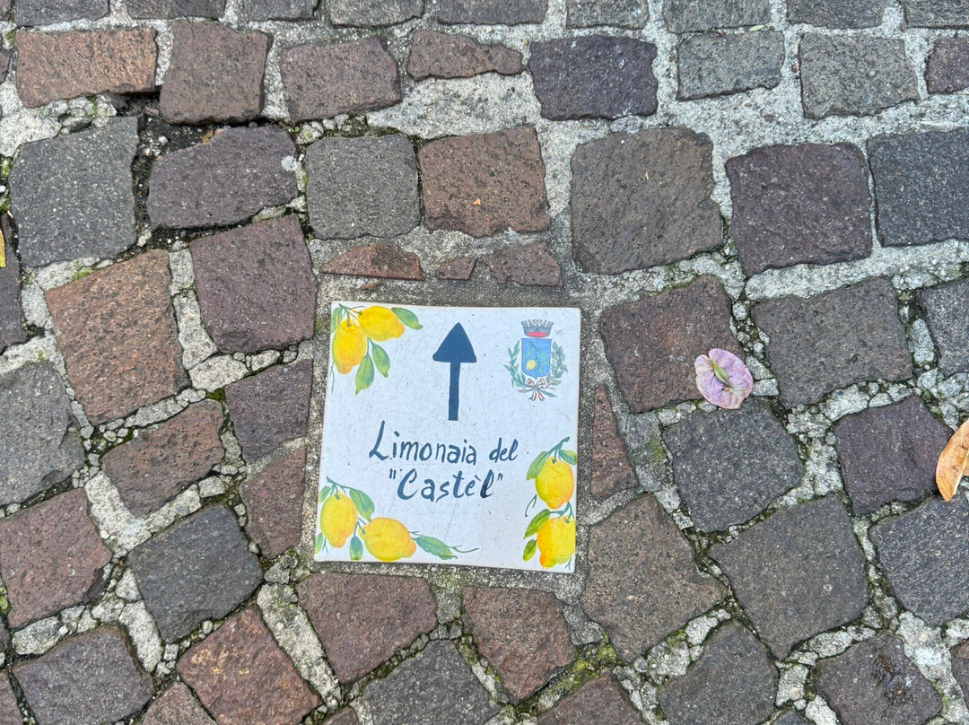 La Limonaia Del Castel-利莫内必去景点