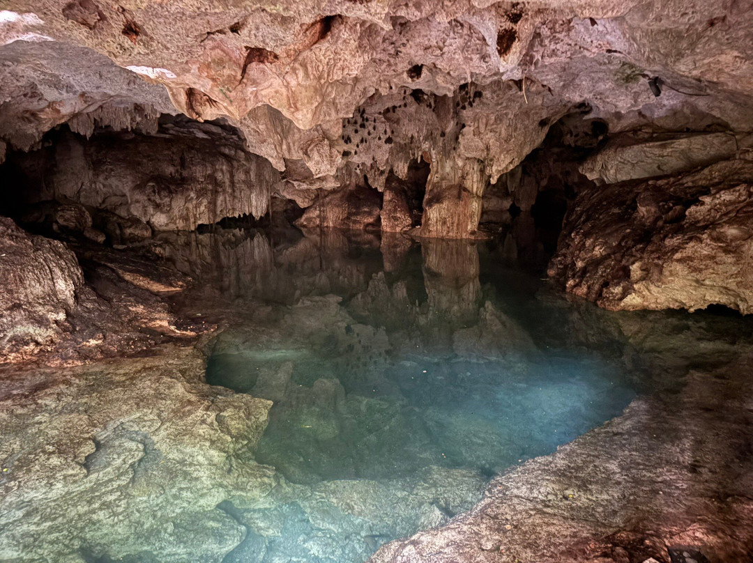 Akumal Monkey Sanctuary & Rescued Animals-艾库玛尔必去景点