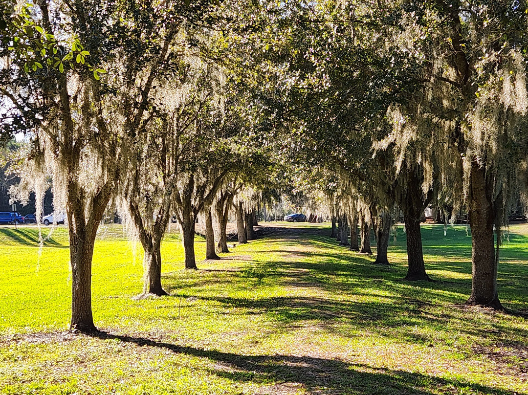 Lake Istokpoga-赛百灵必去景点