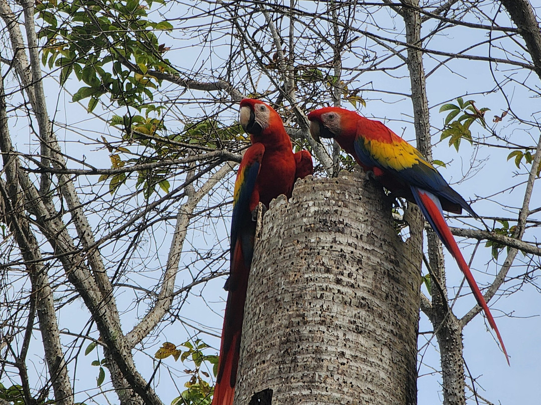Costa Rica Adventure Club-塔马林多必去景点