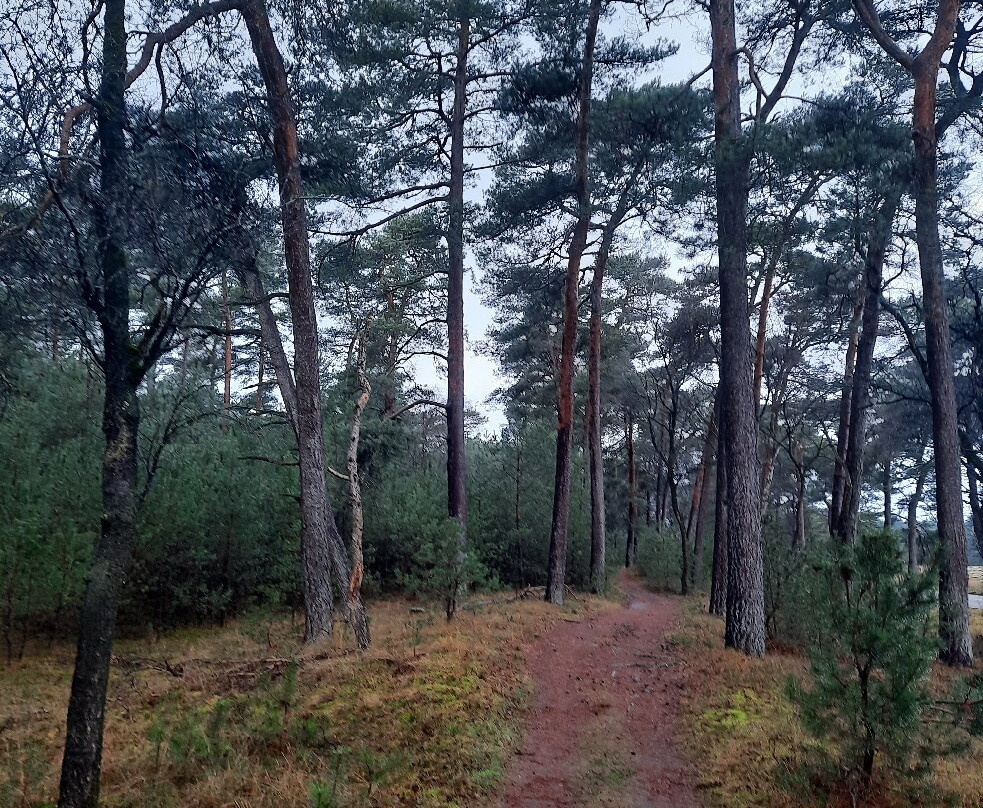 De Hoge Veluwe National Park-Gelderland Province必去景点