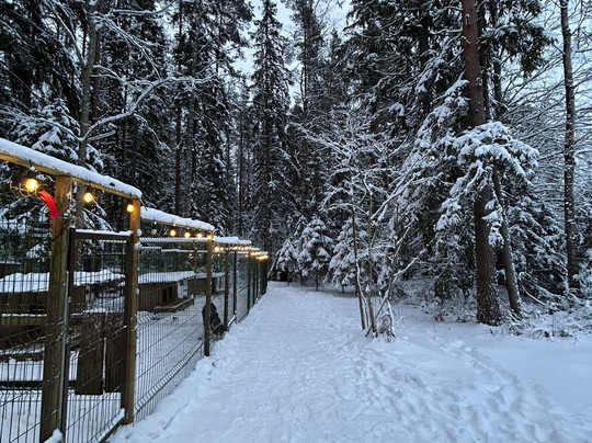 Small Lapland-Pillapalu必去景点