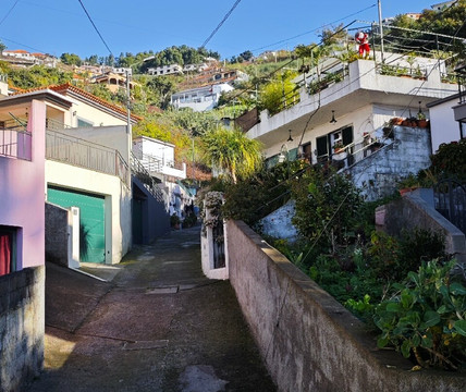 Miguel Is Here-沙尔必去景点