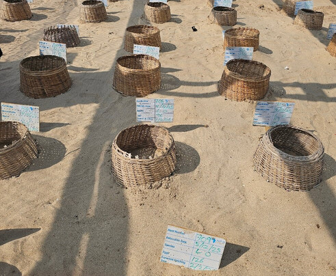 The C Resort & Residences主图