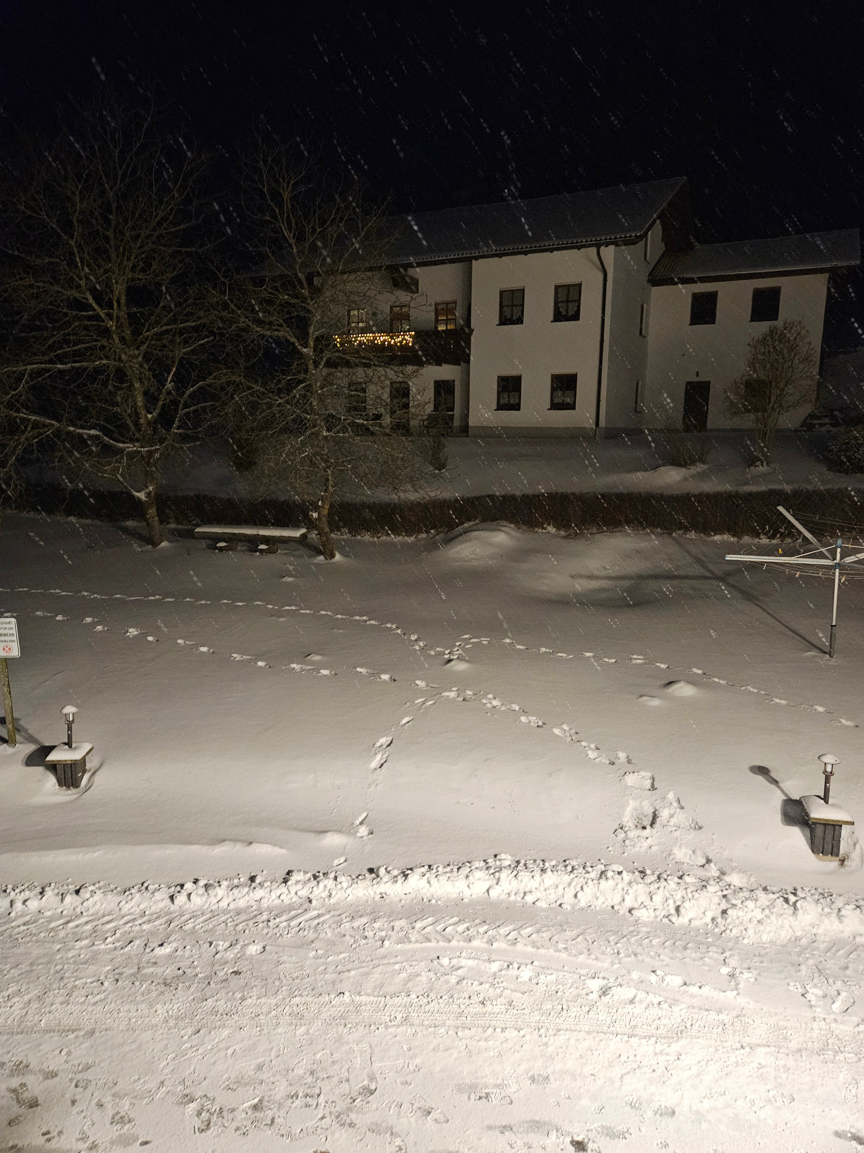 Waldhotel Seebachschleife-酒店景观