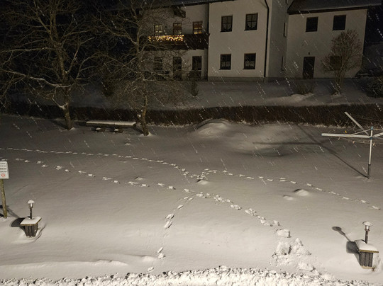 Waldhotel Seebachschleife主图