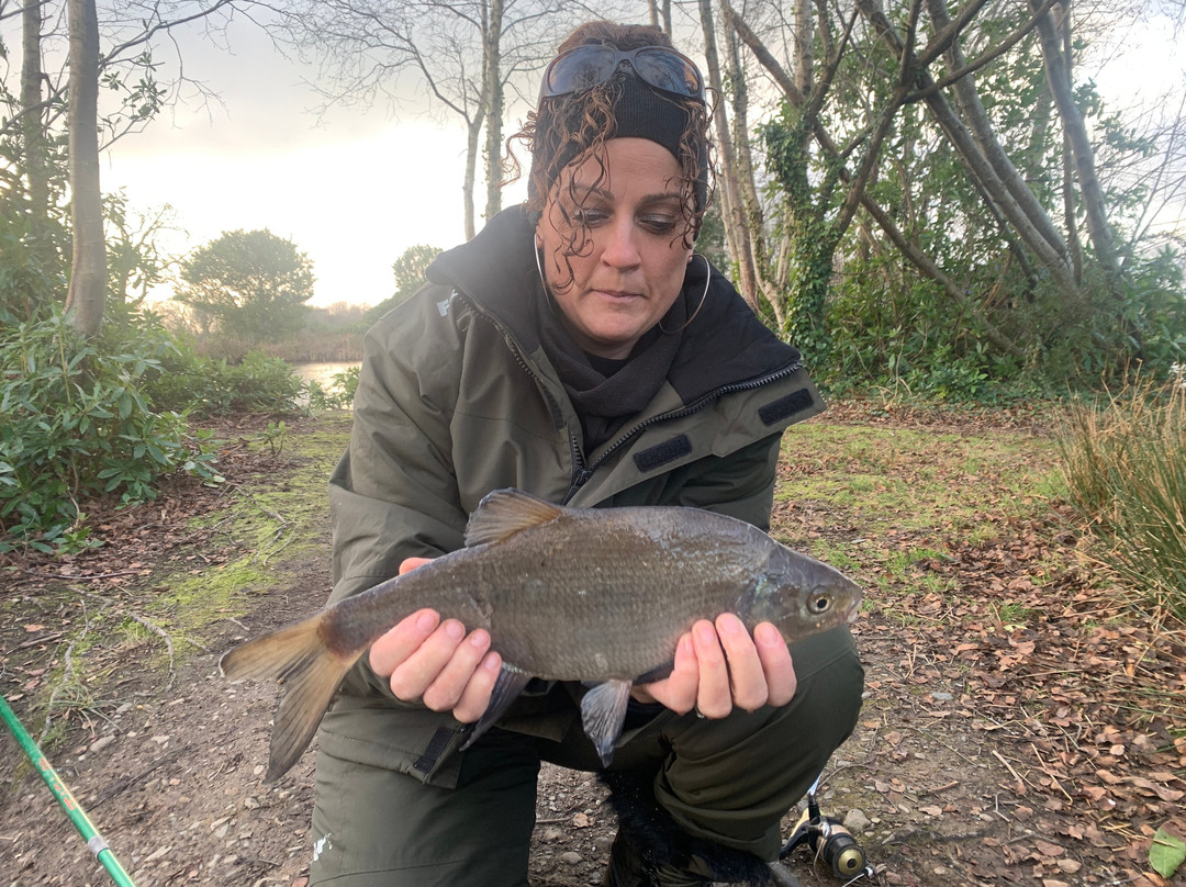 Bron Eifion Coarse Fishing-Criccieth必去景点