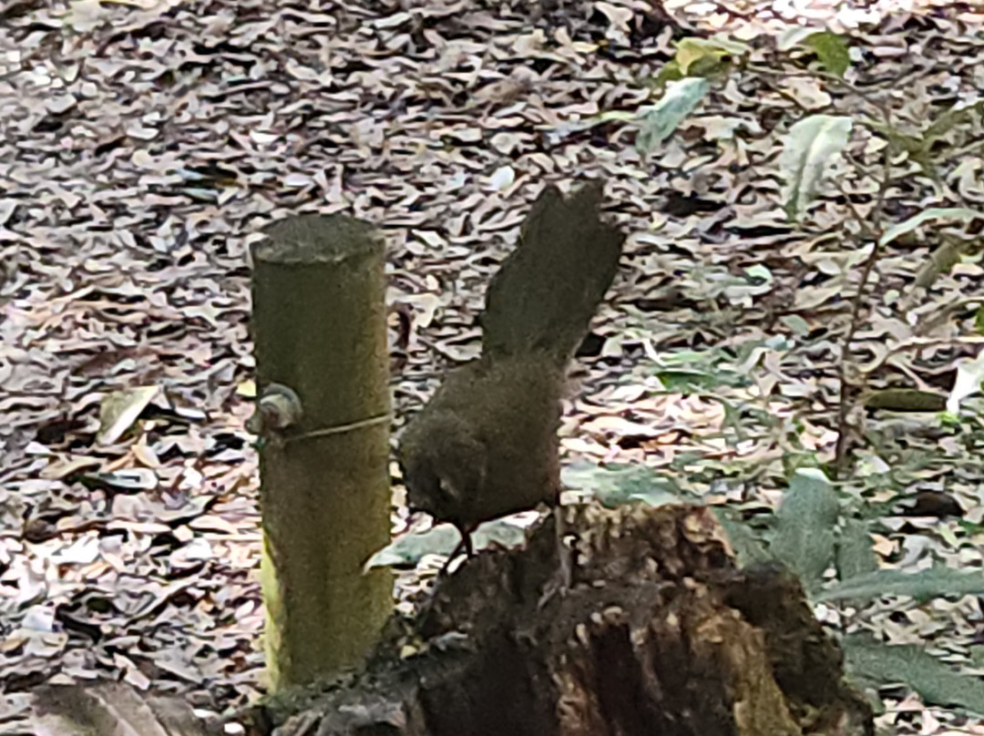 Fun Over Fifty-布里斯班必去景点