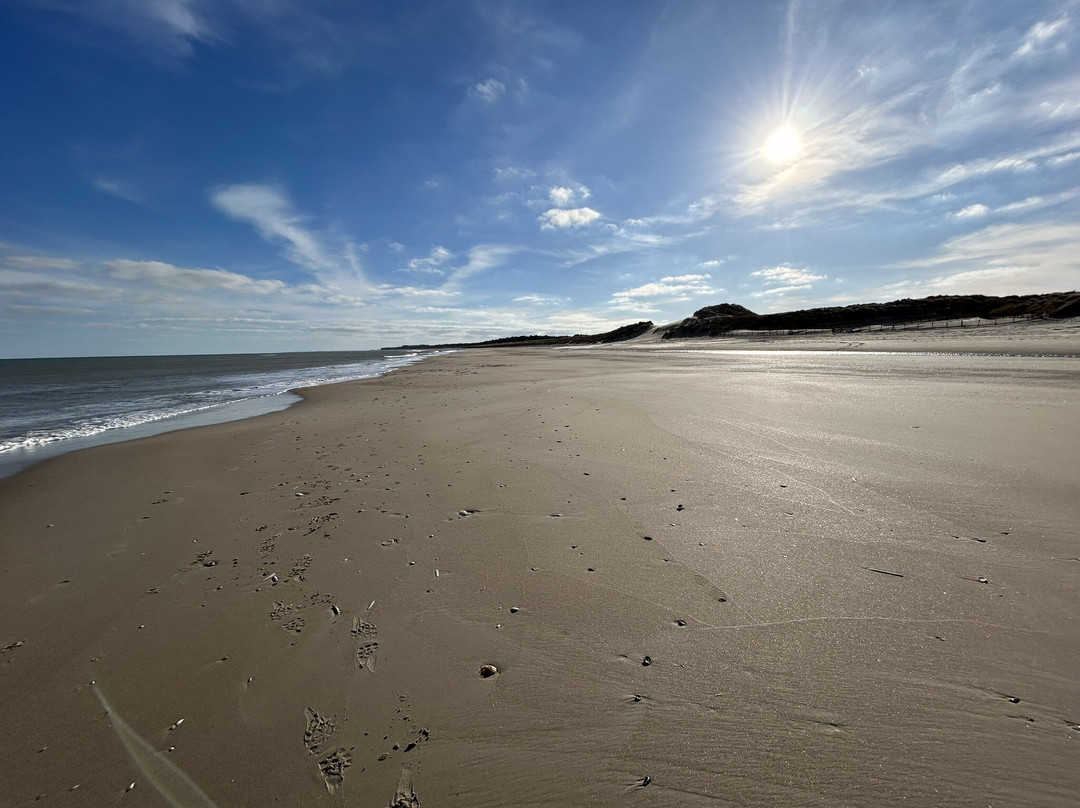 Curracloe Beach-Curracloe必去景点