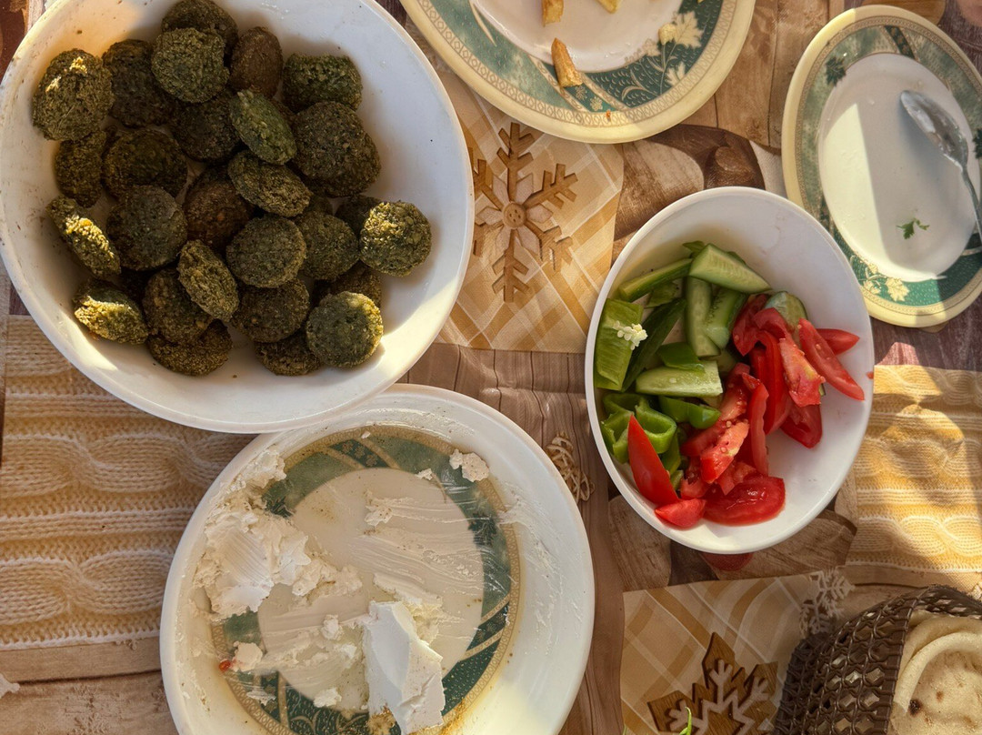 Hamdy Cook Felucca-亚斯文必去景点