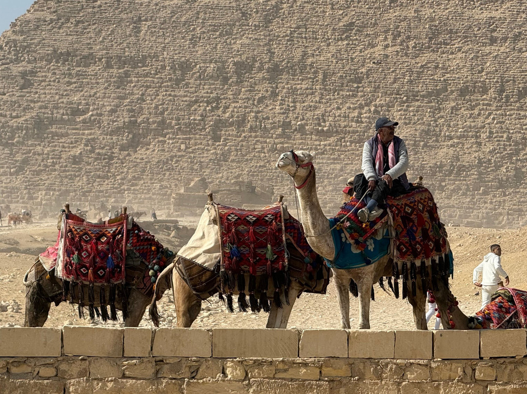 Amazing Cairo local guide - licensed Egyptologist specializing in tours, excursions and sightseeing around Cairo and surrounding areas-开罗必去景点