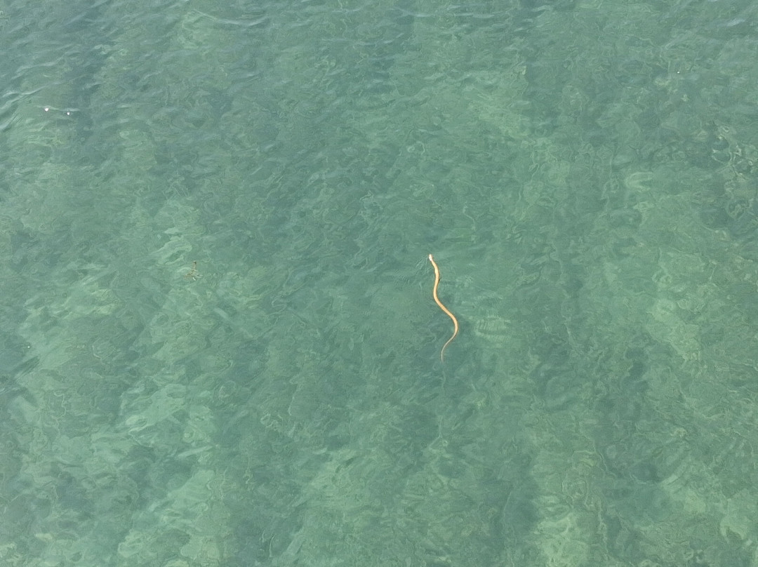 River Drim-Struga必去景点